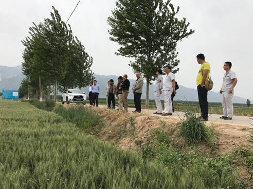 粮农集团潘智炎副总经理一行莅临华县库视察订单农业种植基地