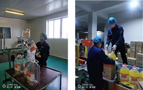 图片3_副本.png