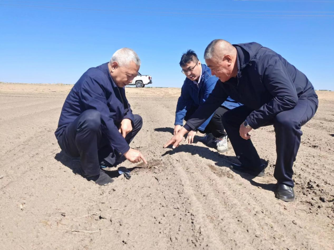 周小林调研稳增长及安全生产等工作