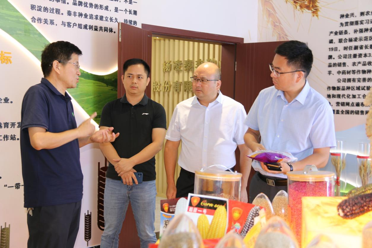 秦丰种业：与腾讯公司共同探索数字种业发展模式