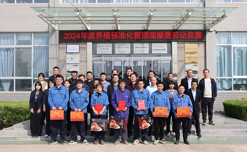 秦宝牧业：标准化观摩+劳动竞赛 展青年员工风采担当