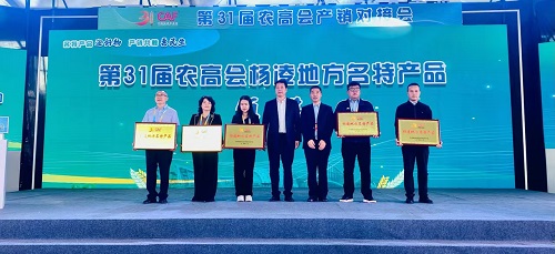 油脂集团：“西瑞汉中基地小榨浓香菜籽油”荣获第31届农高会“杨凌地方名特产品奖”